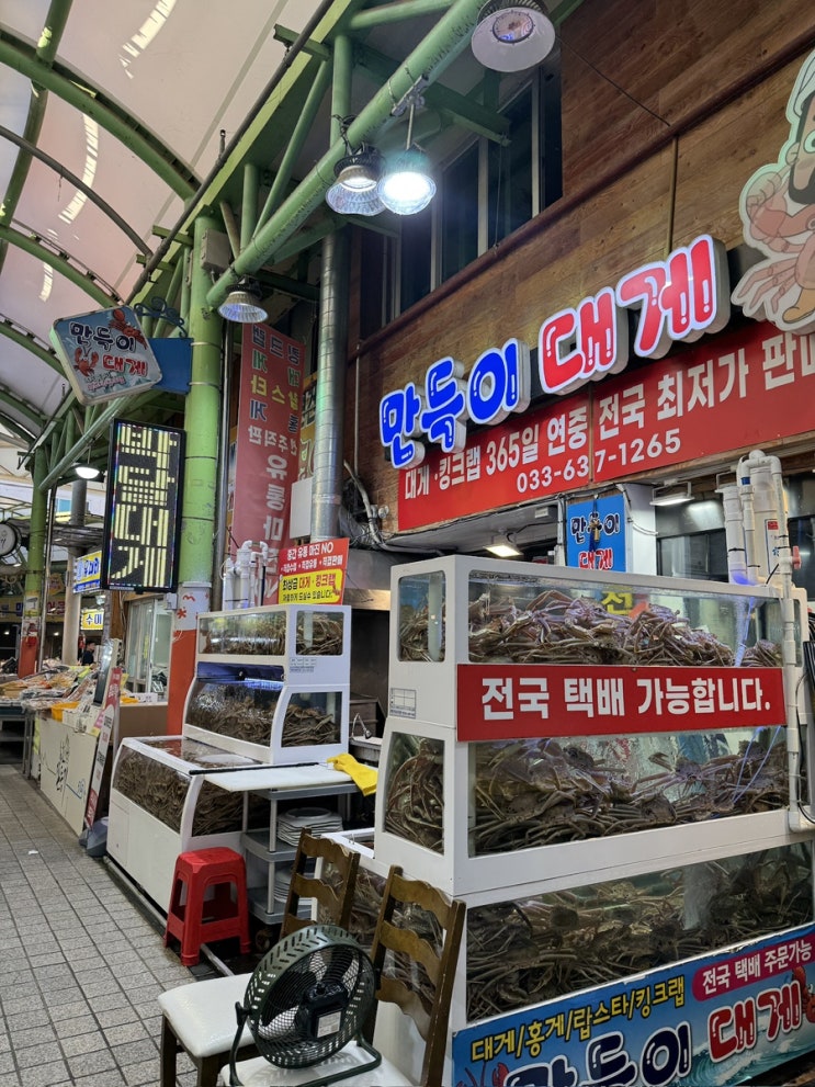  속초중앙시장 대게맛집추천! 대게찜,대게라면,대게볶음밥까지 완벽한 만득이직판장