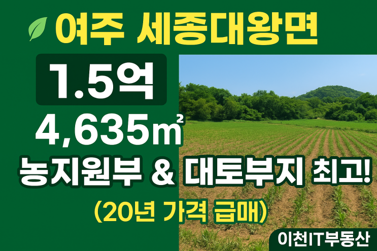   20년 가격 급매! 여주 세종대왕면 매화리 농지 4,635, 1억 5천만 원! (농지원부/대토부지 최적) | 이천IT부동산