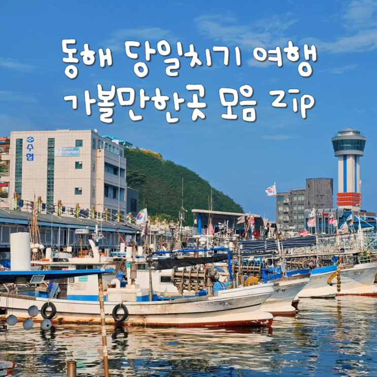  강원도 동해시 당일치기 바다 여행 묵호항 근처 가볼만한곳 정리