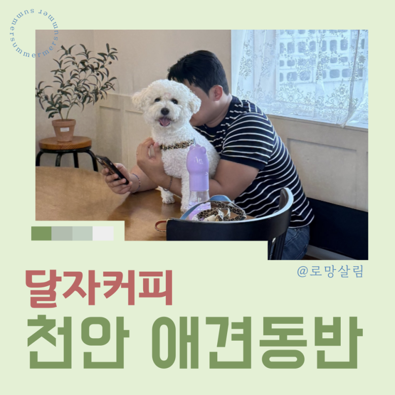 사진 2