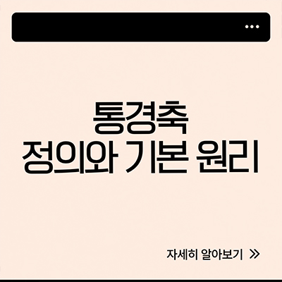  통경축 이란 뜻 알아보기