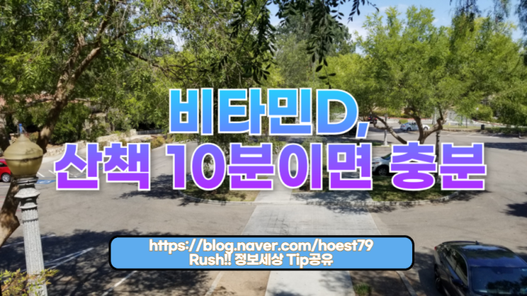  비타민D, 산책 10분이면 충분할까?