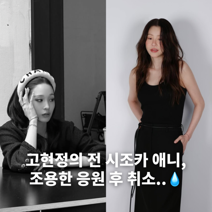 <b>고현정</b>이 前시조카 '올데프 애니'에게 <b>좋아요</b> 누른 후 취소한 사연