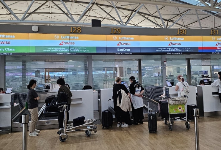  (5) 출국 D-Day