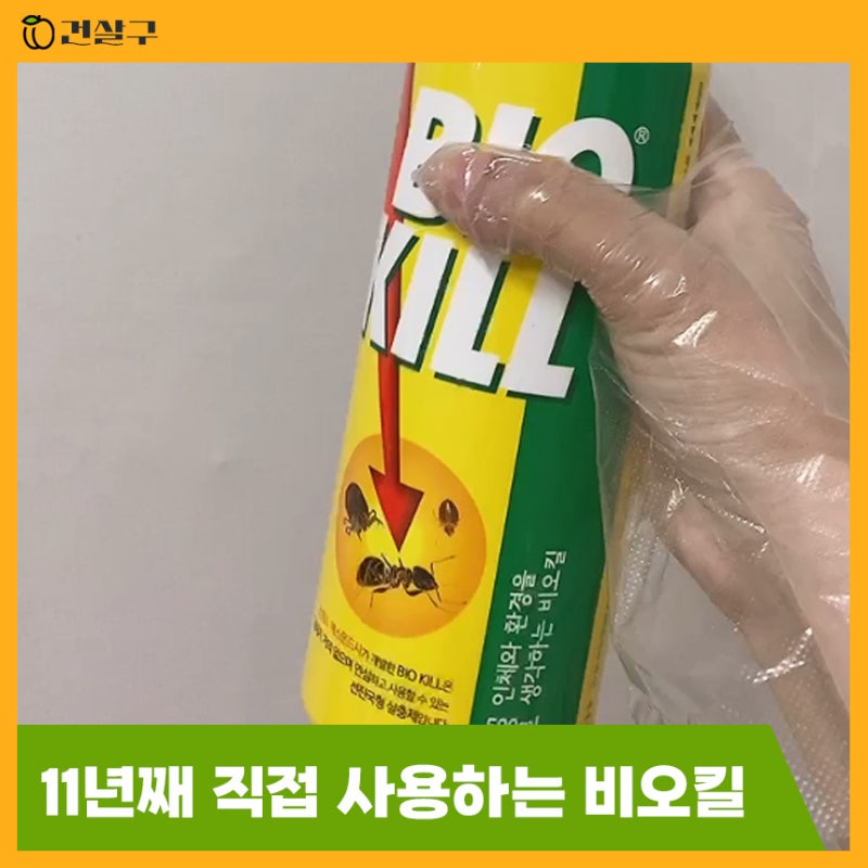 비오킬 사용방법 벌레 방지 꿀템 11년째 사용 후기