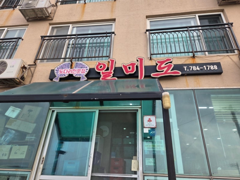 제주 구좌 세화해수욕장 하도리 가성비 회포장 도민맛집 도다리회 일미도 내돈내산 주차