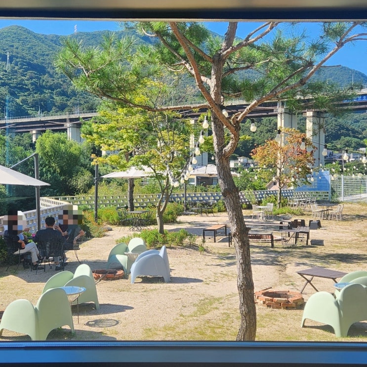  팔당댐카페 또간집, 갤러리카페446 솔직 후기: 북한강애견카페·팔당심야카페