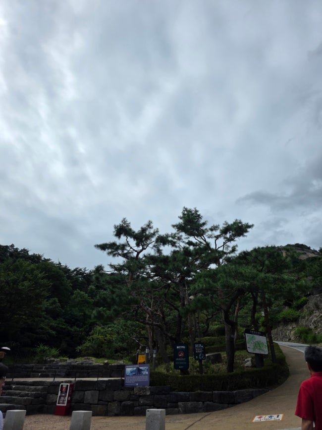  인왕산걷기(수성동계곡-초소책방-계단-인왕산숲속쉼터/구.인왕3분초-청운문학도서관)