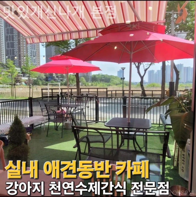 사진 2