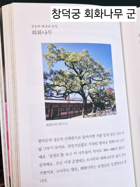 Kikeuneunnamu photo 4