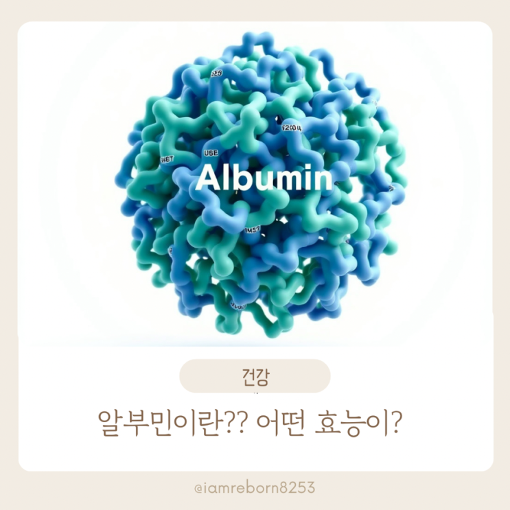  [알부민효능 총정리] 다이어트가 쉬워지는 7가지 포인트