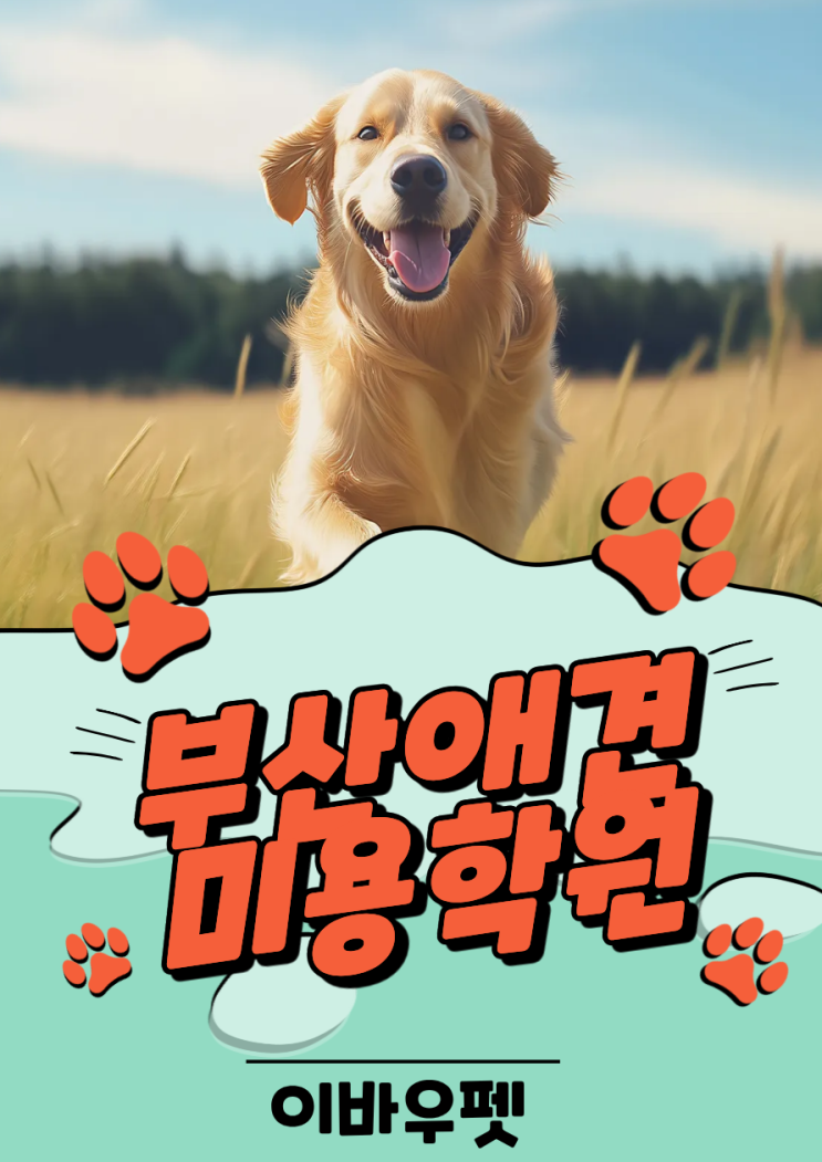  이바우펫 부산애견미용학원에 대해  궁금한사람?