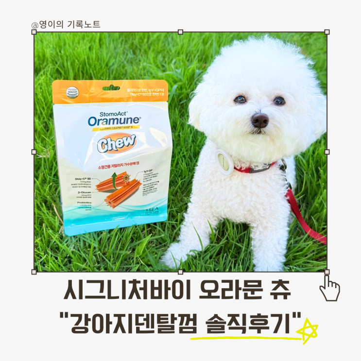  시그니처바이 오라뮨 츄 강아지덴탈껌, 입냄새 이제 그만! 알러지 걱정 없이 먹여본 솔직후기
