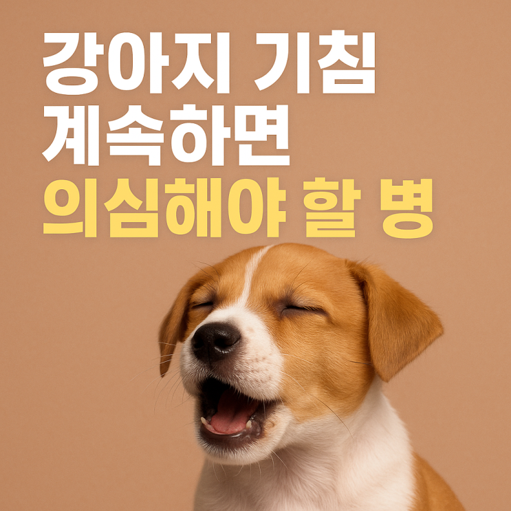  강아지 기침 계속하면 의심해야 할 병