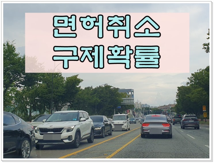  면허취소구제 확률, 가능성을 높이기 위해서