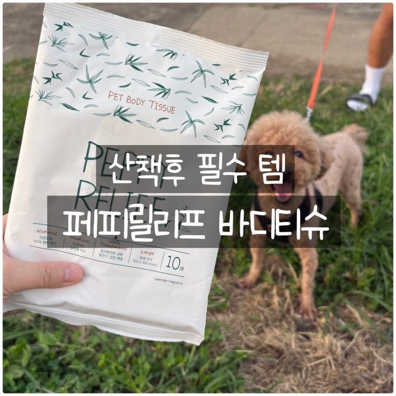 페피릴리프 편하게 뽑아쓰는 강아지바디티슈 후기