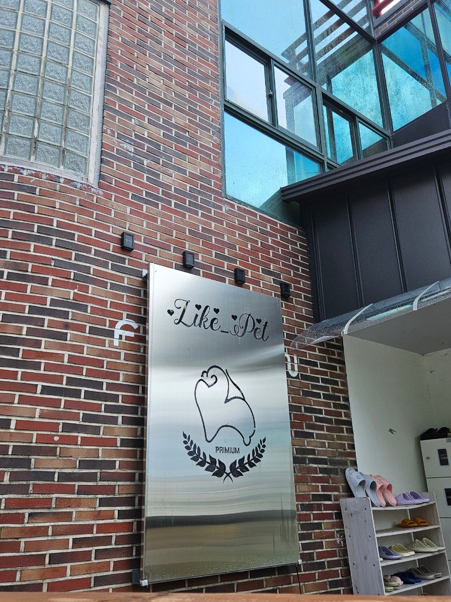 라이크캣 사진 5
