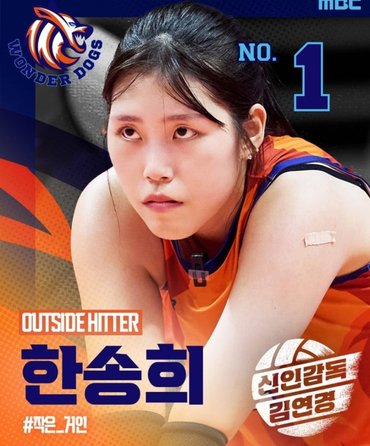 필승 <b>원더독스</b> 선수단 소개(NO.1 한송희)