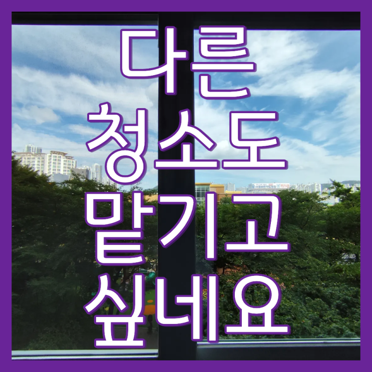  김포 아파트 유리창 창문 청소 현장 고객 후기