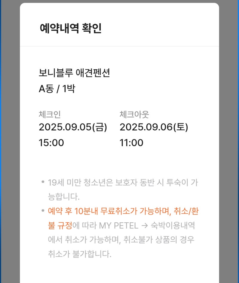 사진 11