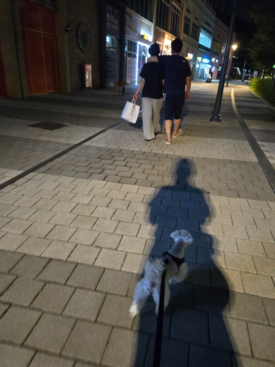 1번지통닭 갈매점 사진 6