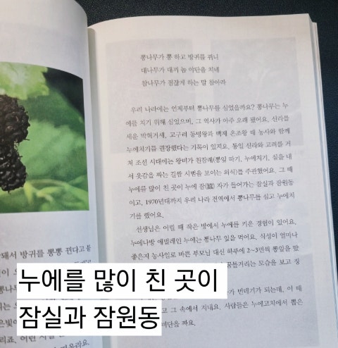 Kikeuneunnamu photo 3