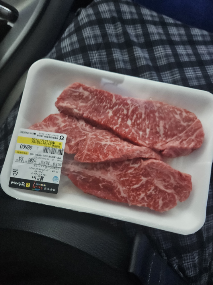  [일상] 하동솔잎한우프라자 하동 본점 채끝, 등심 가격 후기