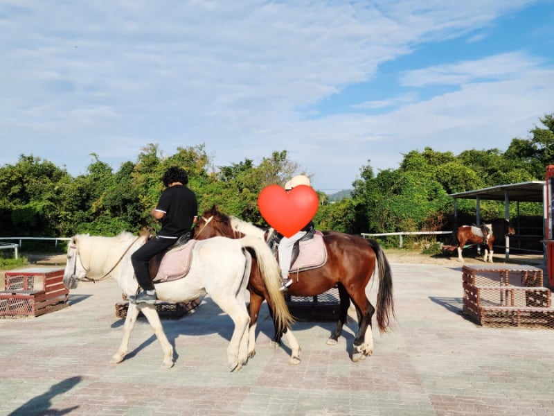 [제주 여행] 더마파크 승마 & 카트 체험 / 아이들이 가장 좋아하는 체험 / 요금 할인 꿀팁