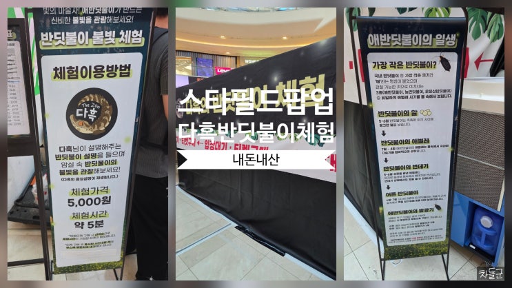  스타필드 고양 팝업 다흑 반딧불이 체험  후기