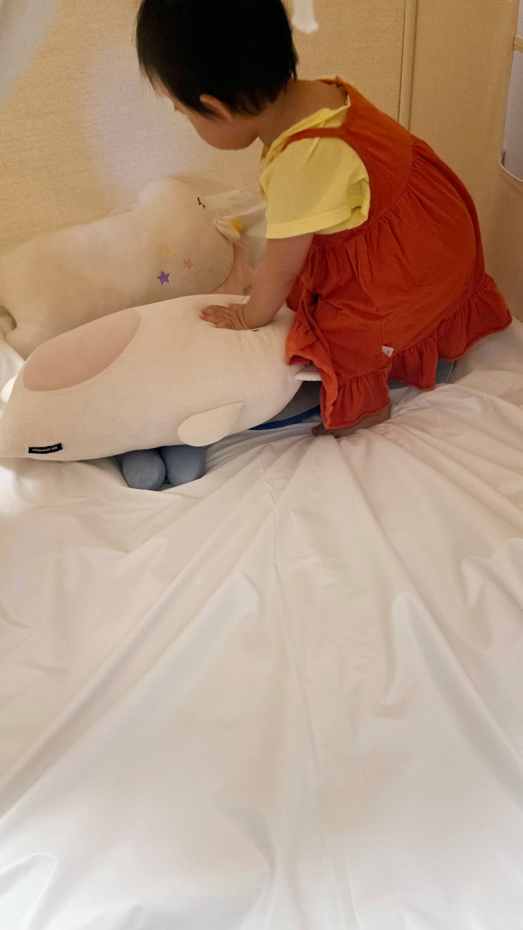  집먼지 진드기 알레르기 탈출! 라이브엣지 지퍼형 방수 매트리스 커버 솔직 후기