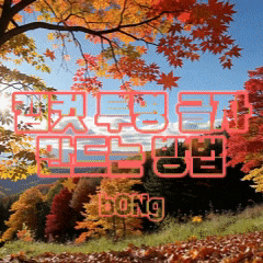  캡컷 투명 글자 만드는 방법, 감각적인 영상 효과 연출