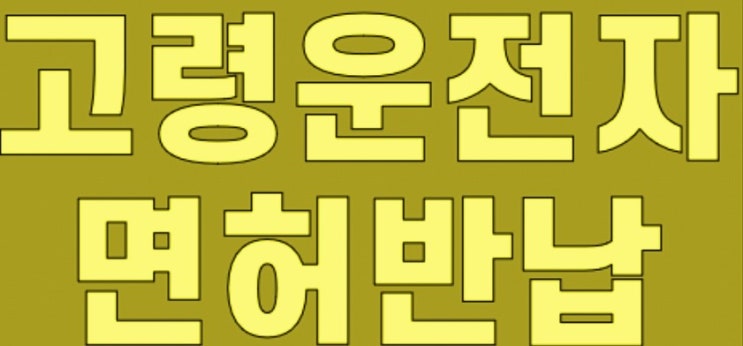  고령 운전자 - 운전면허 반납 지원금과 운전면허 유지 조건 총정리