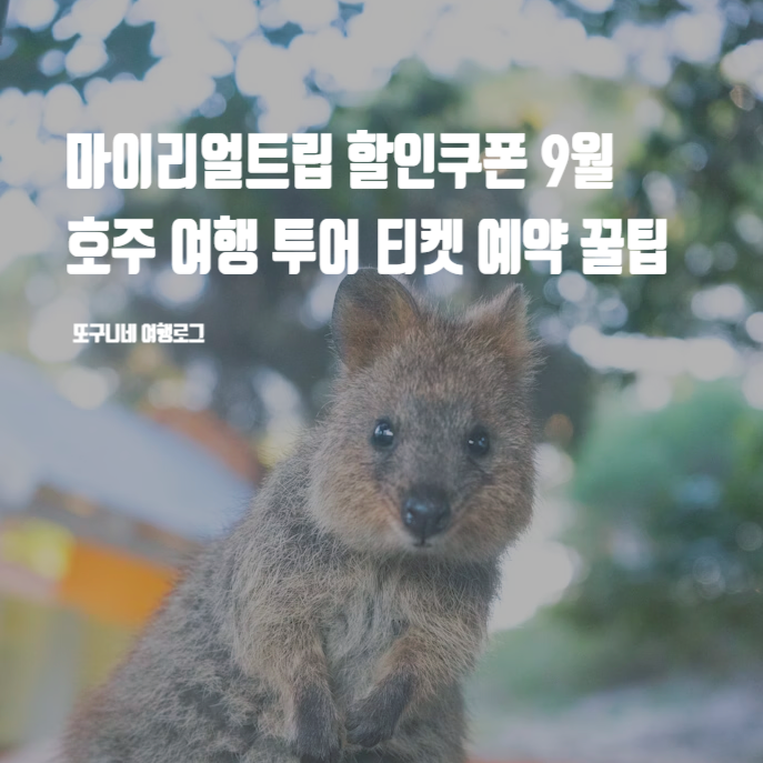  마이리얼트립 할인쿠폰 9월 호주 시드니 멜버른 골드코스트 여행 투어 티켓 예약 꿀팁