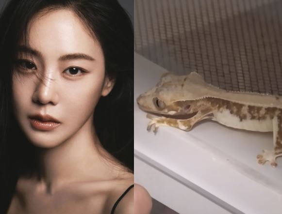 한지은 반려<b>동물 학대 논란</b>