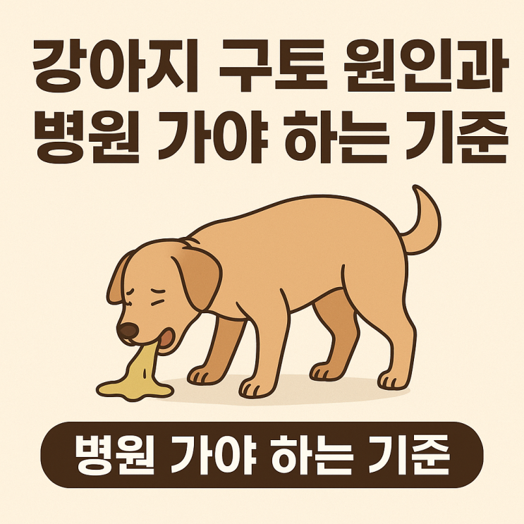  강아지 구토 원인과 병원 가야 하는 기준