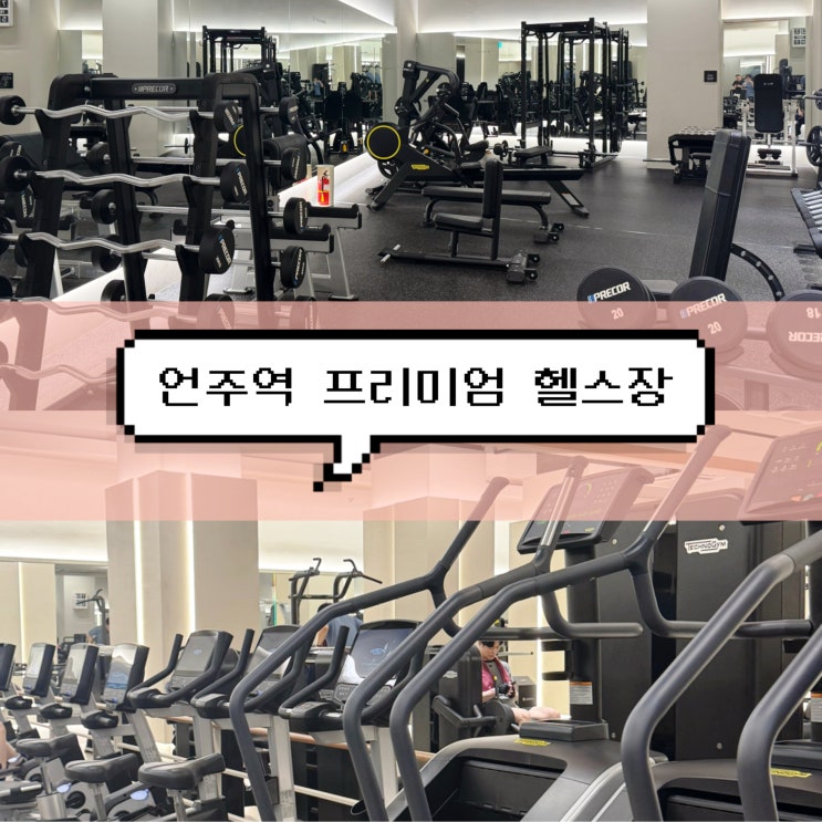  웰앤피트니스 | 언주역 역삼 호텔식 헬스장 가격 및 PT 후기