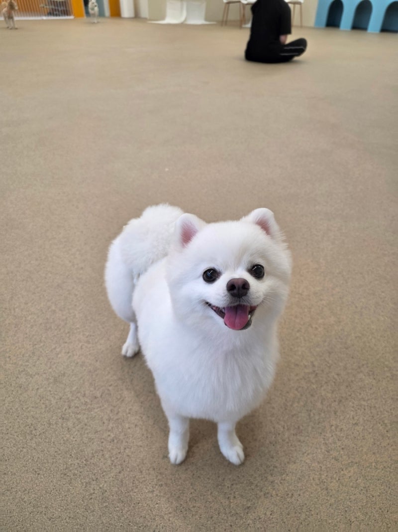 사진 2