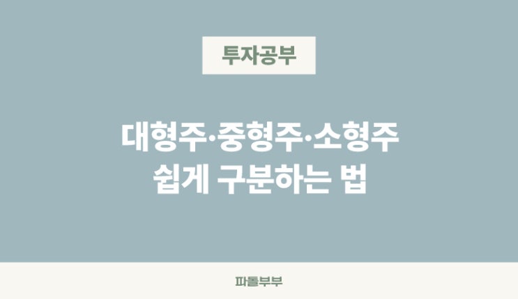  미국주식 대형주 중형주 소형주 시가총액 시총 기준 뜻 구분하는 방법