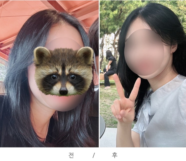  찐으로 머리 난 후기 | 펩펩 올인원 헤어토닉 사용 후기