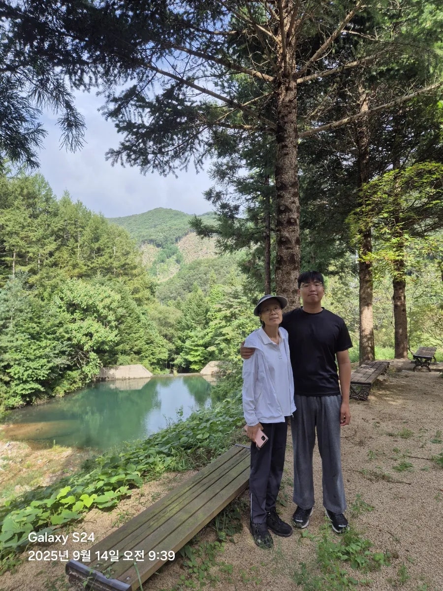 감고을 영동 편백숲 사진 2