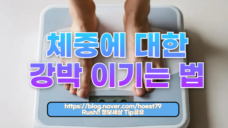  체중에 대한 강박 이기는 법: 건강한 나를 찾는 심리와 습관의 변화