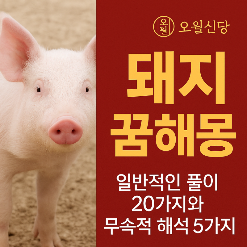 돼지 꿈해몽