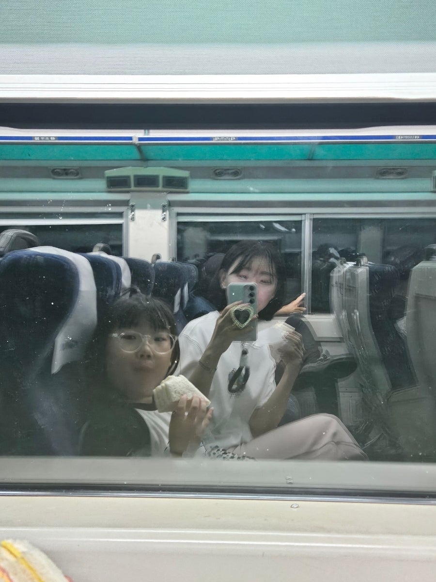 라이크캣 사진 2