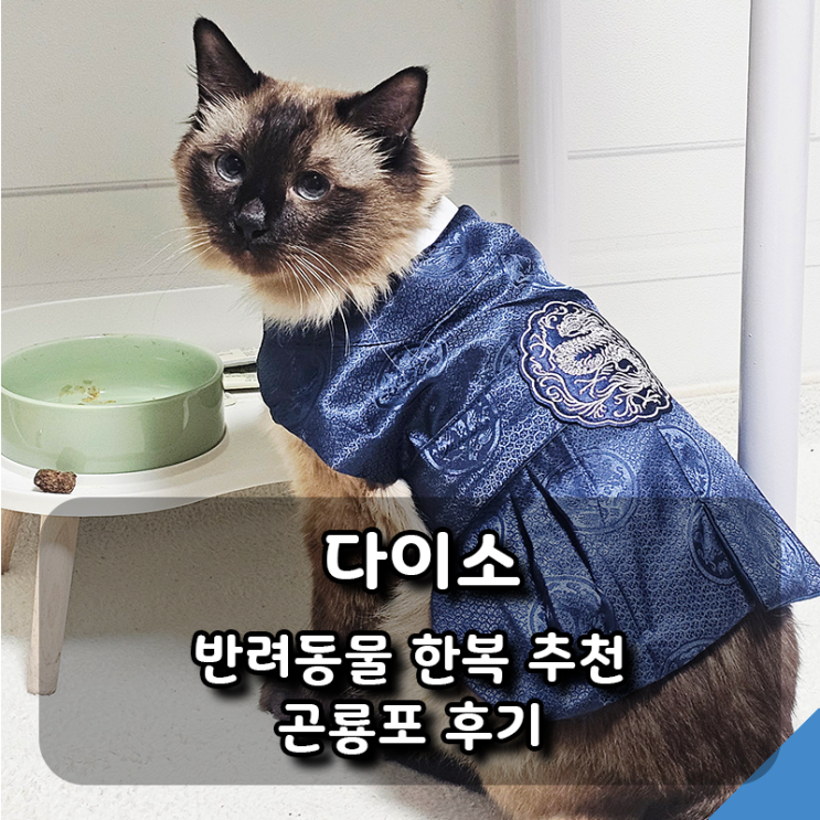  [다이소] 반려동물 한복 추천, 가성비 좋은 곤룡포 후기