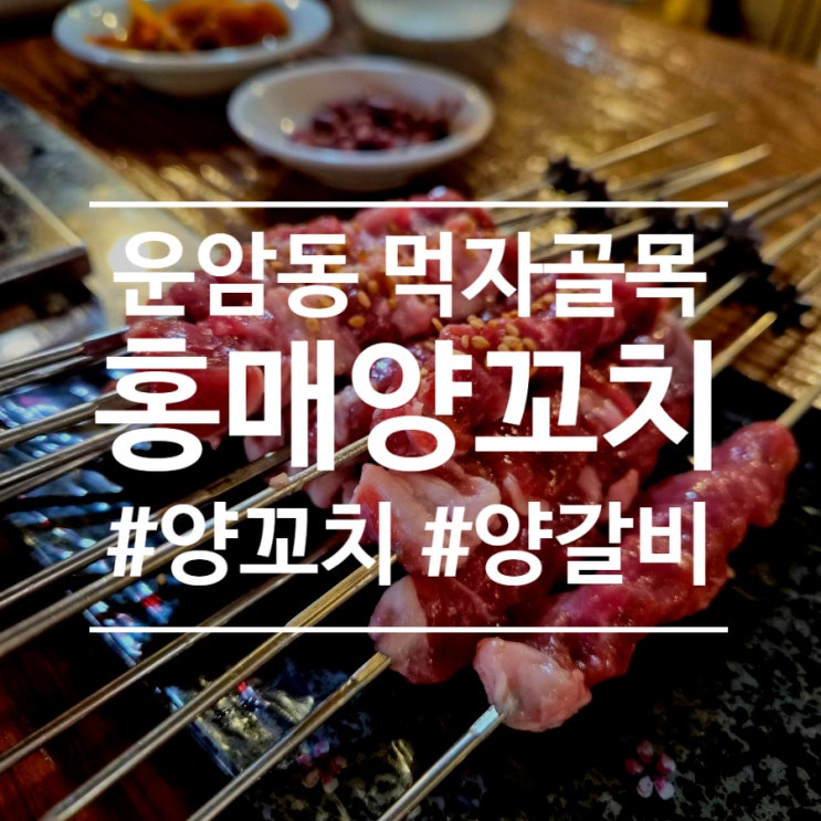  운암동 맛집) 중국음식 먹으러 홍매양꼬치