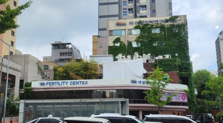  난임검사 나팔관 조영술 후기, 자연임신부터 시험관가기까지