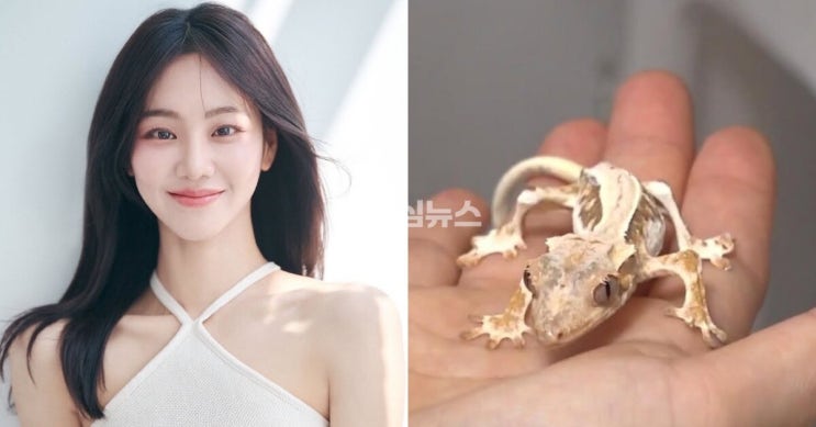 <b>한지은</b>, 동물<b>학대 의혹</b> 휩싸여…반려 <b>도마뱀</b> 공개 후 "뼈만 남아... 
