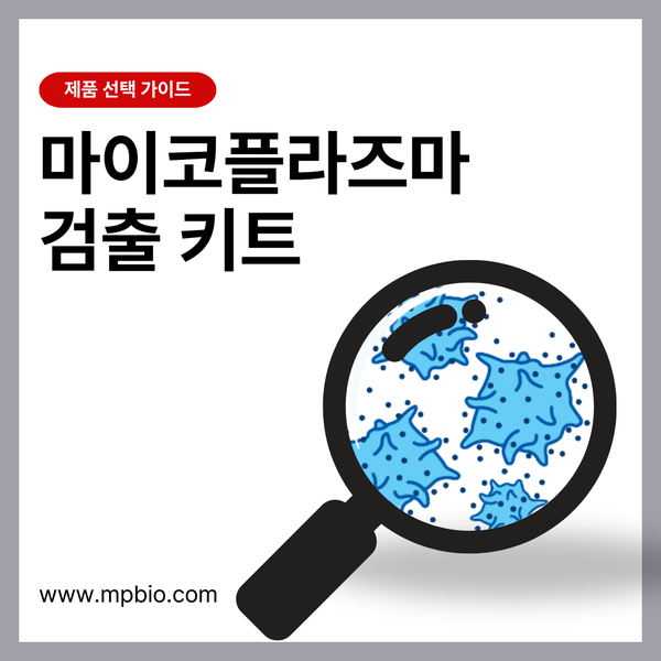  Mycoplasma Detection Kit Guide – 마이코플라즈마 검출 키트 비교와 선택법