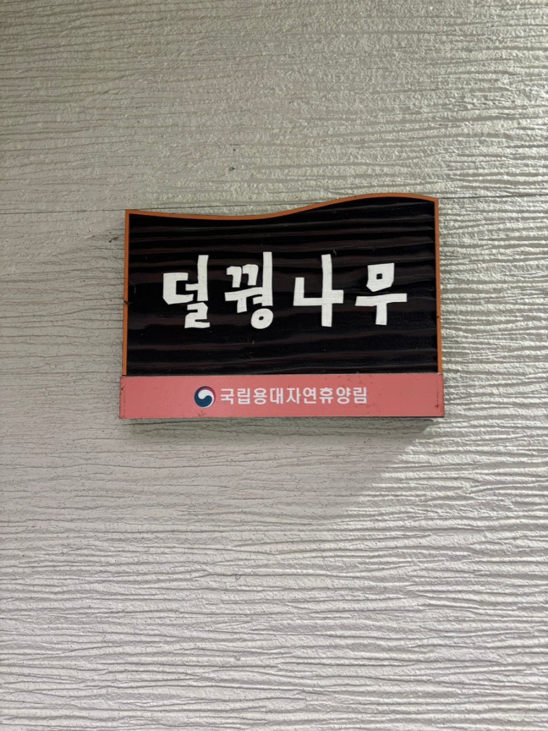 강원도 용대 자연휴양림 숲속의 집 덜꿩나무 찐후기: 예약,화장실,에어컨,시설,가격 정보 모....