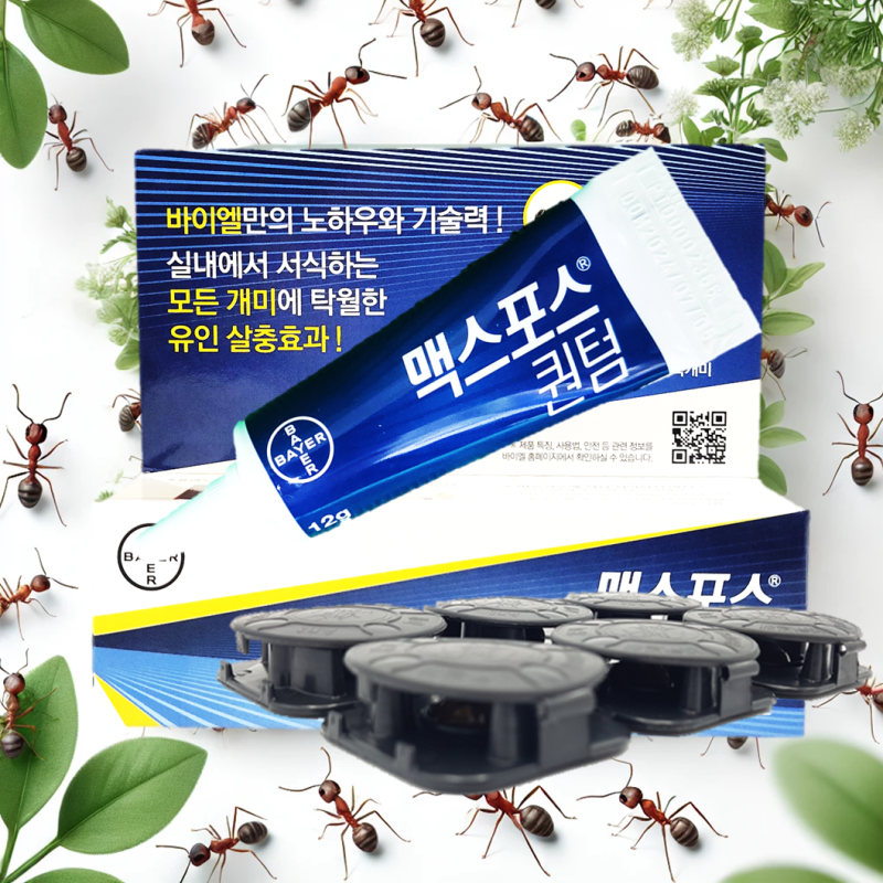 개미약 맥스포스퀀텀 개미퇴치 효과적인 방법
